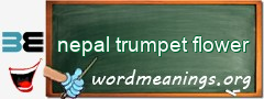 WordMeaning blackboard for nepal trumpet flower